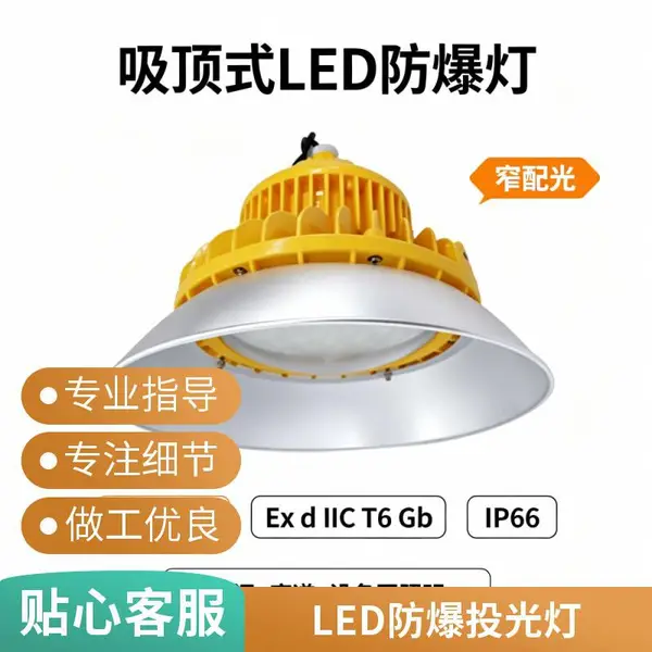 LED 防爆泛光灯吊杆式防爆灯防爆投光灯车间壁挂防爆灯