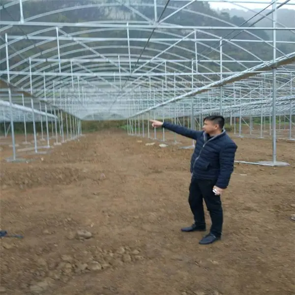 宁波蔬菜大棚安装连栋大棚的建造