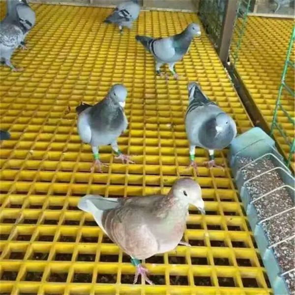 �����ָ�դ �����ָ�դ�ǰ� �����ַ����� ����Щ�ͺŹ��