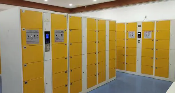 食品添加剂存放柜托管服务 欢迎咨询 广州市博西信息技术供应