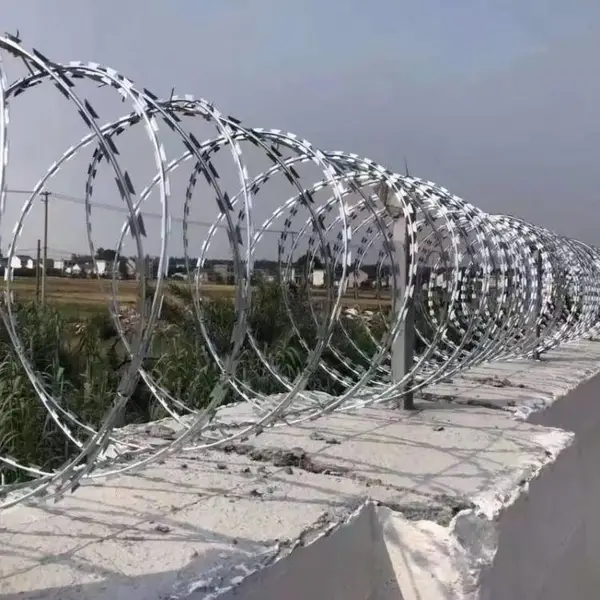 蛇腹型热镀锌刀片刺网 直径500mm 安装在墙头上免费测量场地