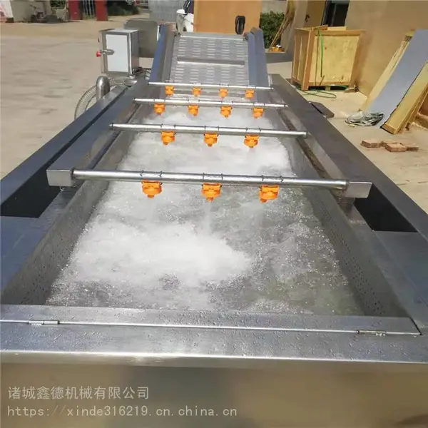 厂家直销 蔬果气泡清洗机 龙眼输送带式气泡清洗机