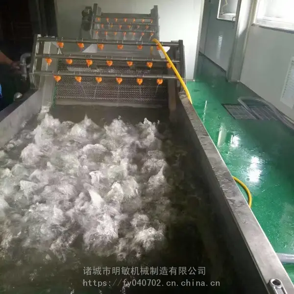 气泡喷淋清洗机 草莓气泡清洗机 蔬菜清洗机 支持定制