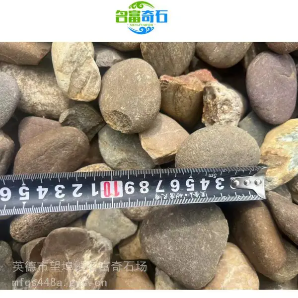 广东鹅卵石产自哪里?广东鹅卵石原石庭院造景 广东杂色鹅卵石铺地
