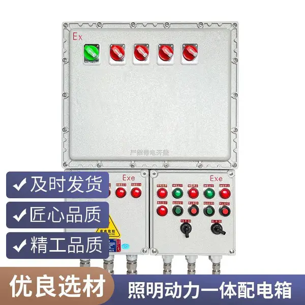 BXM 隔爆防爆照明箱 多回路照明分控箱油漆车间壁挂 IP65 防爆箱体