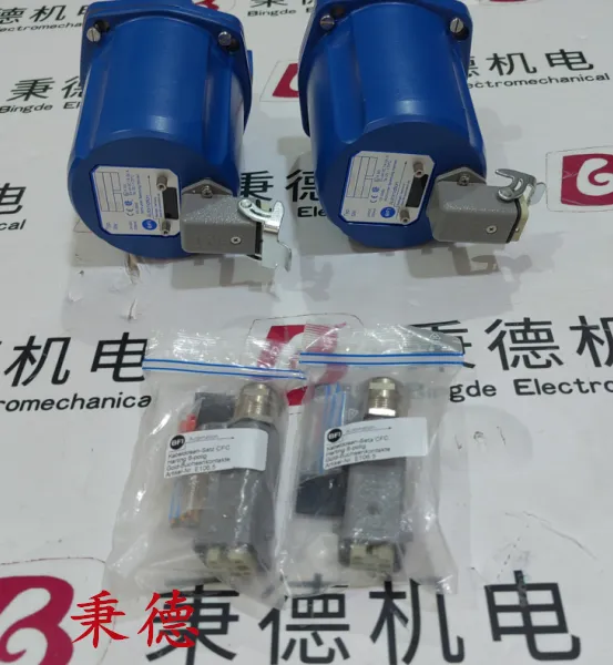 BFI Automation CFC2000IR1 紧凑型红外火焰检测器(火焰控制器)