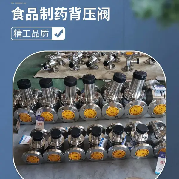 BYF-16P DN125背压阀泵停止后自动关闭管路 避免液体倒流或自流